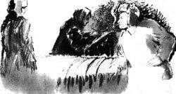 Рисунки С. Прусова