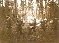 На работу по отводу лесосек.