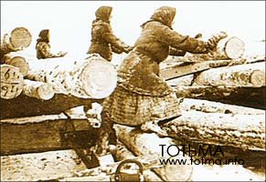 Разгрузка леса на верхнем складе