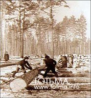 Раскряжевка хлыстов двуручной пилой. 1921-1924 гг.